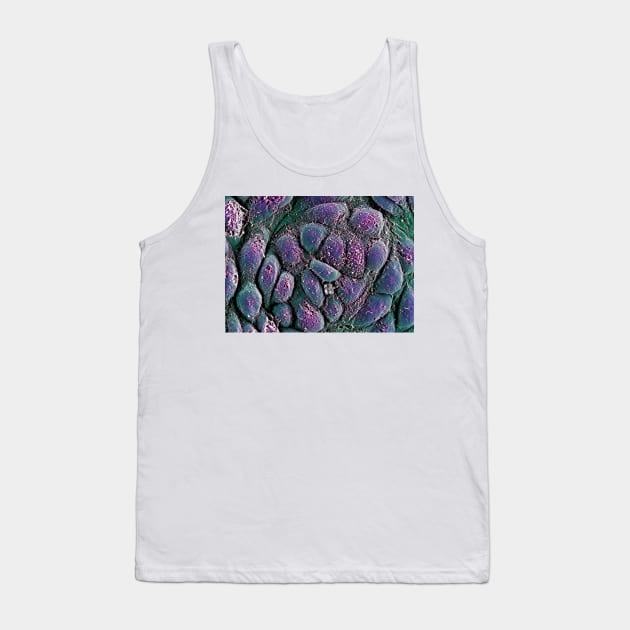 Embryonic stem cells, SEM (G442/0236) Tank Top by SciencePhoto